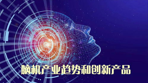 腦機接口 產業現狀、未來趨勢與創新產品探索——以腦虎科技為例
